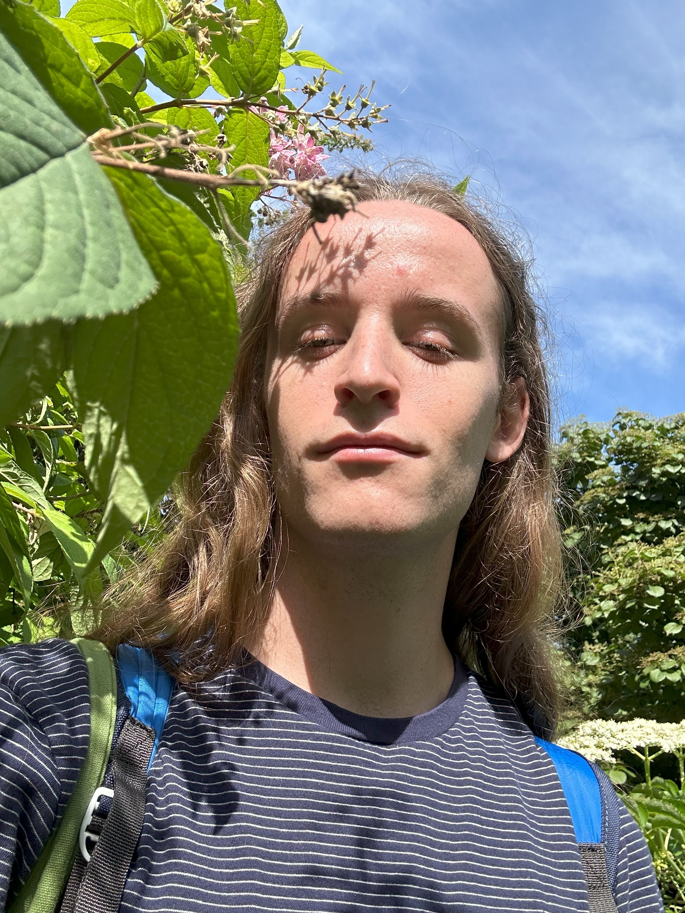 Sebastian playing with plant shadows